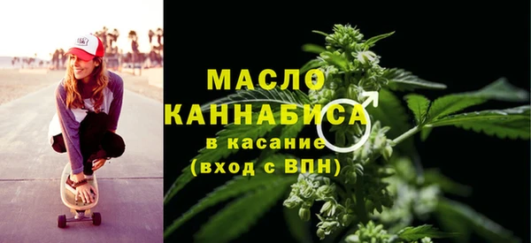 индика Сатка