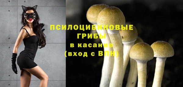 mix Арсеньев