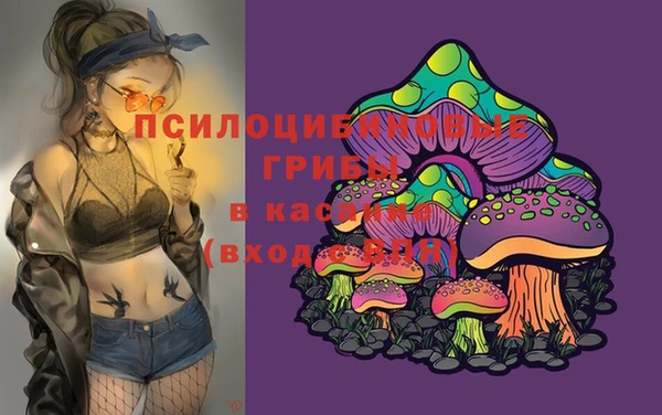 соль курить ск Аркадак